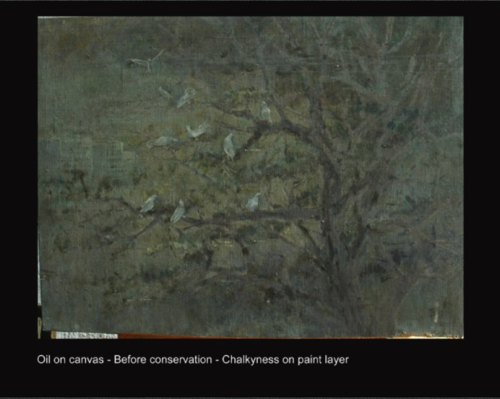 Oil on canvas - Before conservation - Chalkyness on paint layer